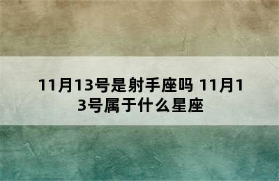 11月13号是射手座吗 11月13号属于什么星座